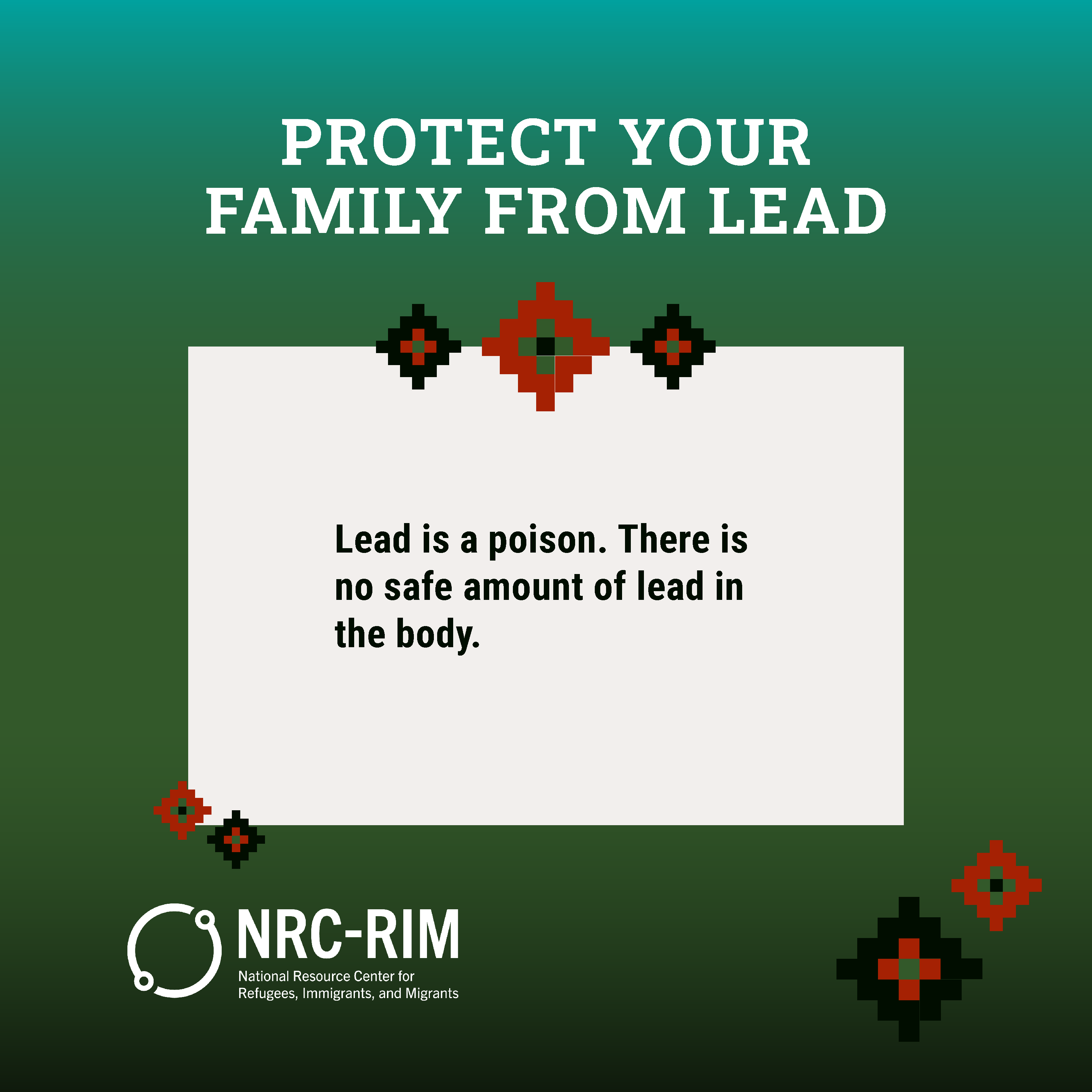 "Lead is a poison. There is no safe amount of lead in the body."