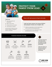 lead prevention fact sheet